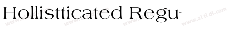 Hollistticated Regu字体转换